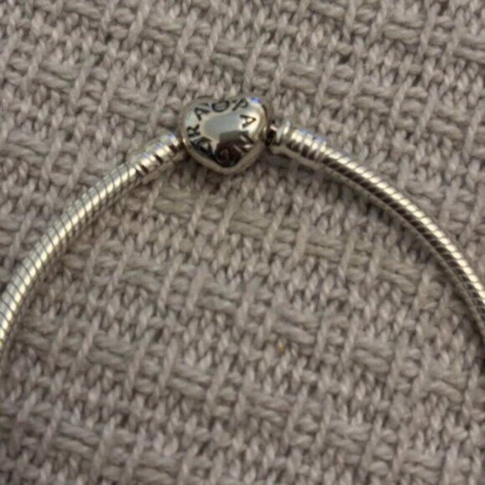 NWT Pandora Bracelet - Picture 3 of 6